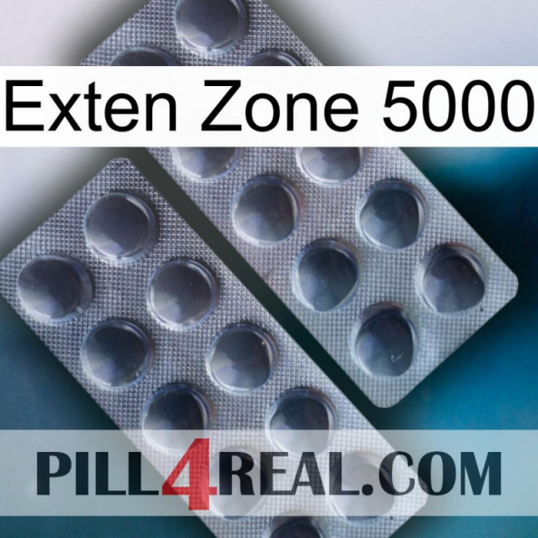 Exten Zone 5000 31.jpg